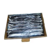 Gefrorene Meeresfrüchte Pacific Saury