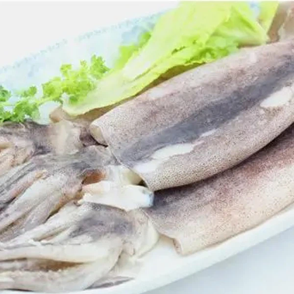 Ganze Tintenfischrunde